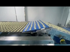 食品産業用 鋼筋ベルトオーブン